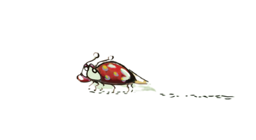 Ladybug walking