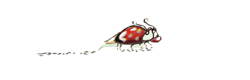 Ladybug