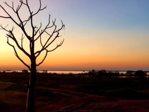 The Business of Marketing